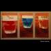tahoespirits_small.jpg